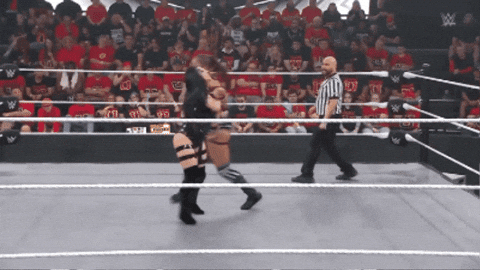 Daniel1204 giphygifmaker stephanie vaquer eat defeat GIF