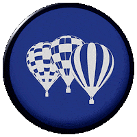 Balloon Hotairballoon Sticker by Cameron Balloons