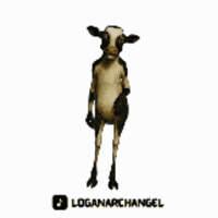 The Cow Dance GIF