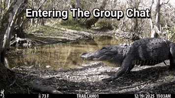 Fight Winning GIF by U.S. Fish and Wildlife Service