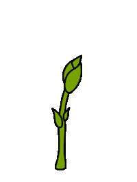 Flower Grow Sticker by Mother Pop