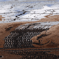 animation art GIF by Liaizon Wakest