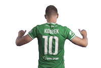 Koubek Bohemianspraha1905 Sticker by FORTUNA:LIGA