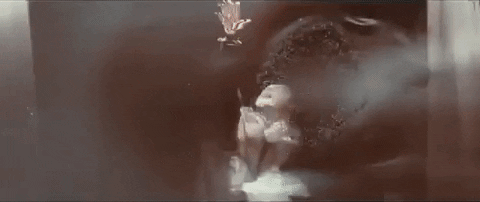 Music Video Rock GIF by Asking Alexandria