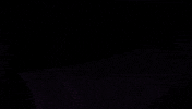 Pokemon Tcg Shock GIF by Pokémon