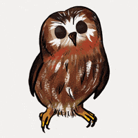 Confused Blink GIF by girlinwhiteglasses