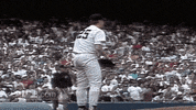 new york yankees baseball GIF by MLB