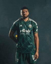 Major League Soccer Sport GIF by Timbers