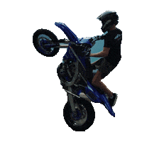 Bolddesignz wheelie dirt bike supermoto supermotard Sticker