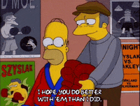 homer simpson episode 3 GIF