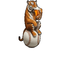 Tiger Sticker