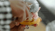 bbc cooking bbc ice cream bbc two GIF