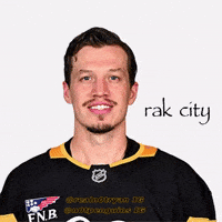 Pittsburgh Penguins Nhl GIF
