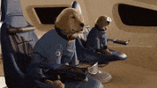 Dogs Nasa GIF by Air Bud Entertainment