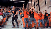 dance basketball GIF