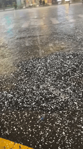 lws922 giphyupload GIF