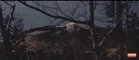 Scared Sci-Fi GIF by Turner Classic Movies