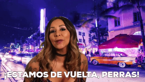 mtv jersey shore family vacation GIF