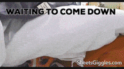 Scared Dog GIF by Sheets & Giggles