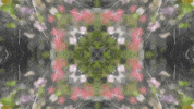 Art Film GIF by jorgemariozuleta