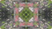 Art Love GIF by jorgemariozuleta