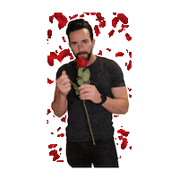 The Bachelorette Smile Sticker by Wellthy