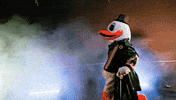 U Of O Duck GIF by University of Oregon