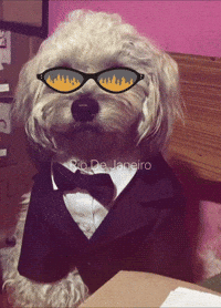 Bakercreates GIF