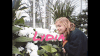 hardlyart  GIF