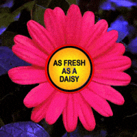 Full Of Energy Nice And Clean GIF