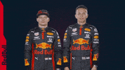 Ver Red Bull GIF by Red Bull Racing