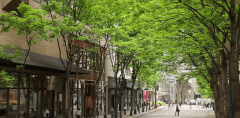 washington seattle GIF
