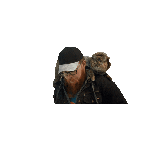 Tora National Cat Day Sticker by Gray Hat Films