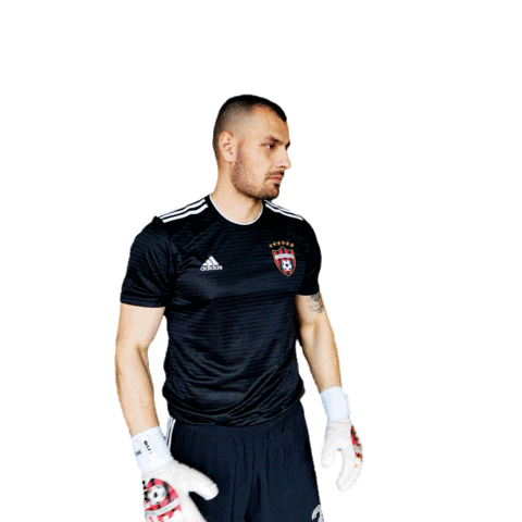 Save Spartak Trnava Sticker by Fortuna Liga