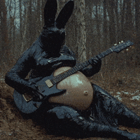 Guitar Rabbit GIF