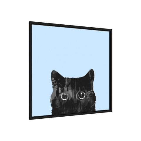SketchUp cat design 3d photo Sticker