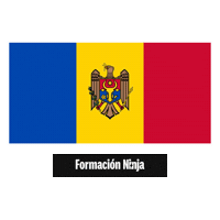 Flag Pixel Art Sticker by Formación Ninja