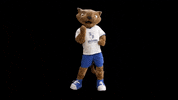 minastc max minas tenis clube mtc GIF