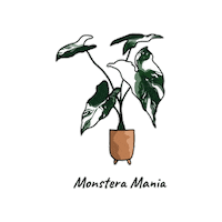 Plant Sticker by Monstera Mania