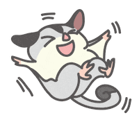 pollyweng sugar glider sugarglider crazytapioca suggie Sticker