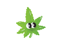 smoke weed Sticker