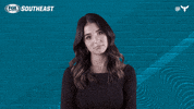 Fox Sports Sport GIF by Charlotte Hornets