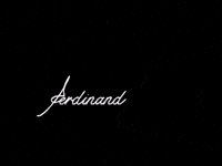 FerdinandConcept makeup brand wedding luxury GIF