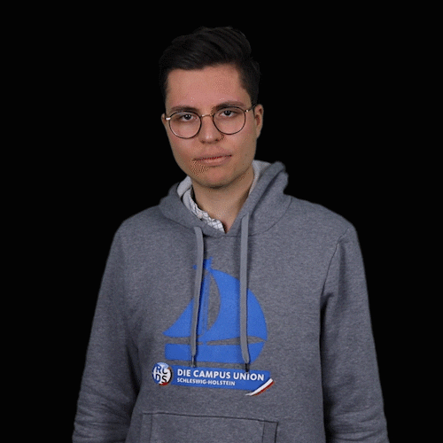 RCDS_S-H ju junge union rcds konservativewelle GIF