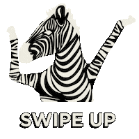Swipeup Sticker by Michelle Rago Destinations