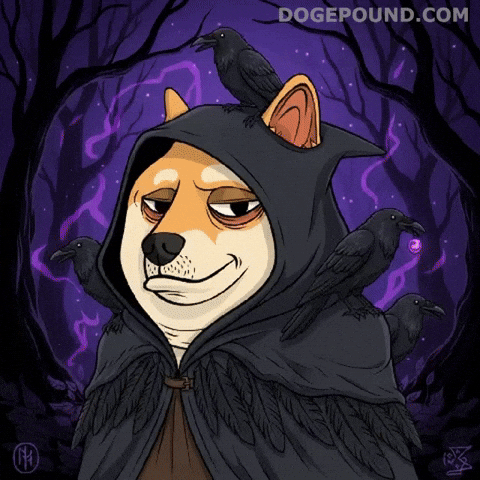 Shiba Inu Magic GIF by Doge Pound