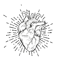 STRIZZIs food herz hund boot Sticker