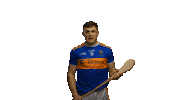 bord gais sport Sticker by Bord Gáis Energy