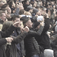 The Den Yes GIF by MillwallFC