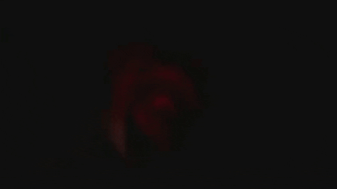 Viva La Vida GIF by Coldplay